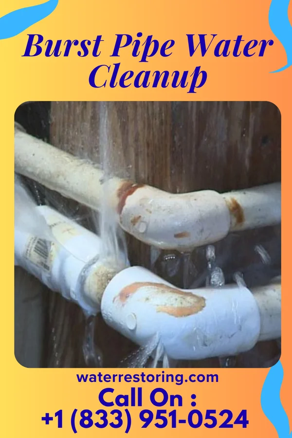 Burst Pipe Water Cleanup in Launiupoko, HI