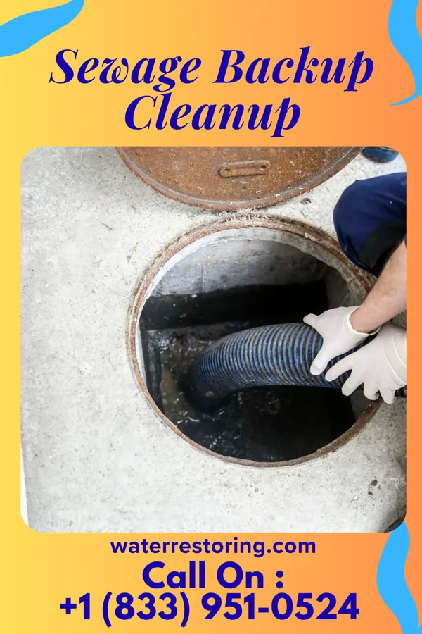 Sewage Backup Cleanup in Launiupoko, HI