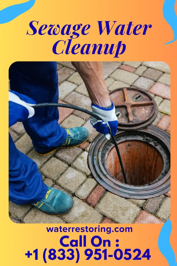 Sewage Water Cleanup in Launiupoko, HI