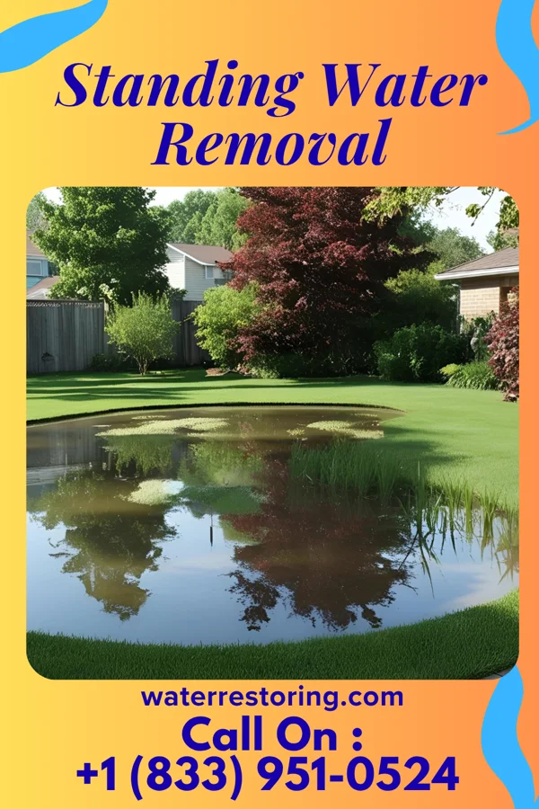 Standing Water Removal in Launiupoko, HI